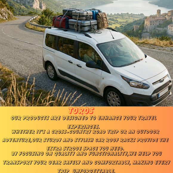 For Mercedes Viano 2003-2014 Roof Side Rails Ultimate Style, Silver