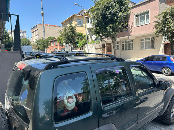 111. Kompatibel mit abschließbaren Aluminium-Dachträgern für Fahrzeuge mit Standarddach Toros Pro 1 Silver