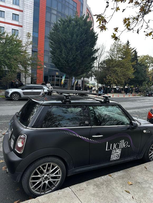 444. Kompatibel mit abschließbaren Aluminium-Dachträgern für Fahrzeuge mit Standarddach Toros Pro 4 Black