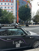 444. Kompatibel mit abschließbaren Aluminium-Dachträgern für Fahrzeuge mit Standarddach Toros Pro 4 Black-7